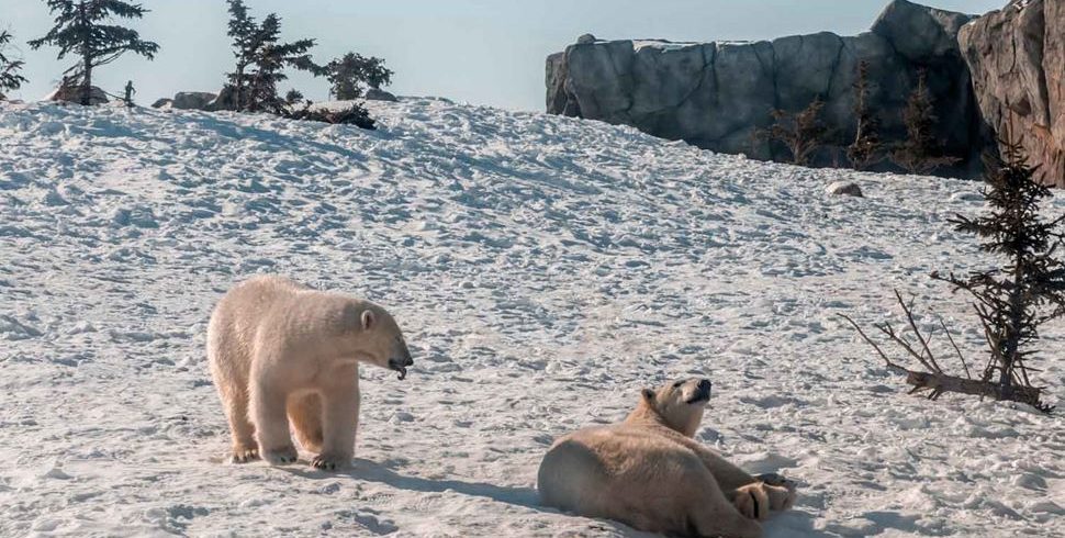 213882959287ff9eae2fc22323565253db3f4e31